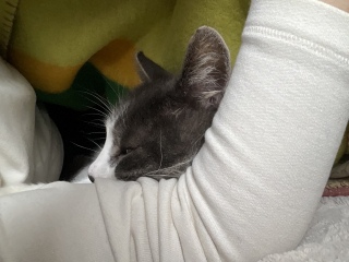 �E�r����