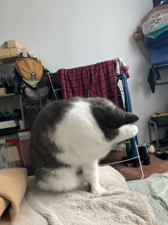 ���Q2���Ԉȏ�