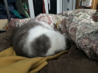 �E�������ł�