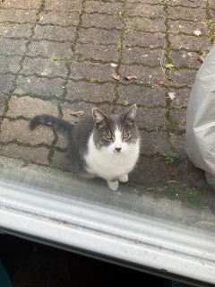 �L��������̎��Ԃł�