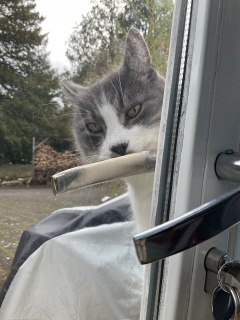 2��24��(��) ��������Ⴂ