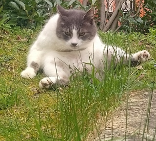 �܎��܂ɂȂ�܂���