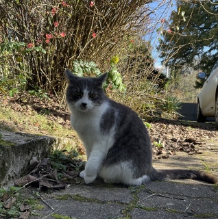 �����̑������f������