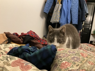 ��ΑO�̂����났�H