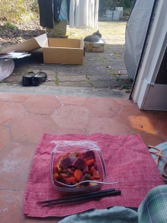 �Ă��Ή��ƃX�[�v�𖡂키