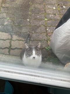 �����͂���H�@10���O�̂�����H