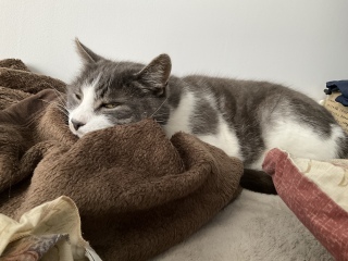 �����̂�