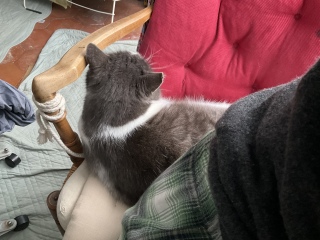 �����ђ��ł�