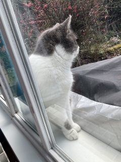 2��28��(�y) ���͂悤�L���