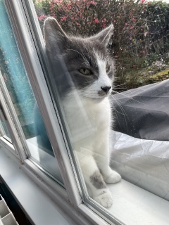 ���肷�肿���