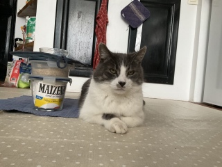 �ˁ[���͌ߌォ��d���ł�