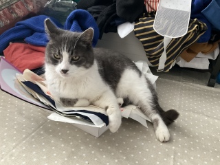 ��������ł���