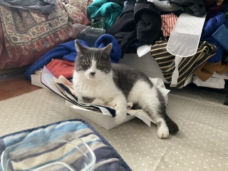 ����S��܂�