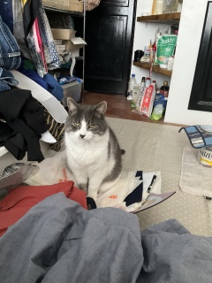 ���̏オ�D��