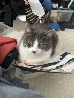 �~�j������B��̂��s����H