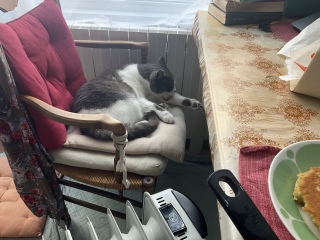 �ˁ[���͂������͂�ł�