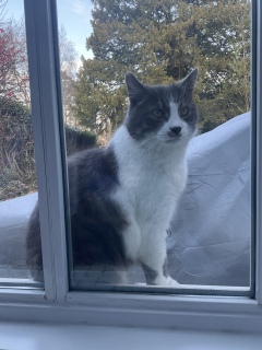 �[������������Ⴂ