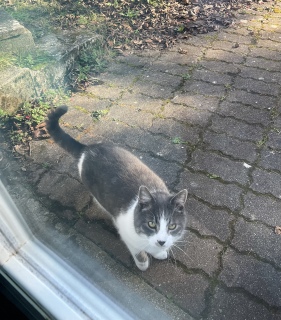 3��2��(��) �ˁ[���Z���T�[