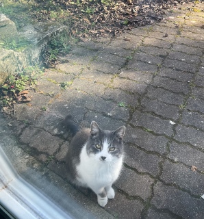 �y�A���Z�̗��K