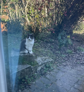 �ˁ[���Z���T�[���m�I