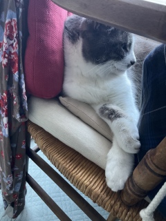 ���ĂĂ��������