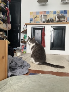 3��3��(��) ���R�ɏo����