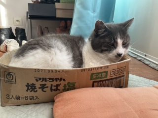 ���������키