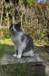 �����炫��킢��