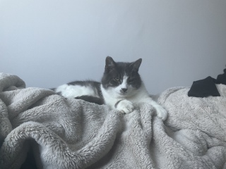 �L���͂����났