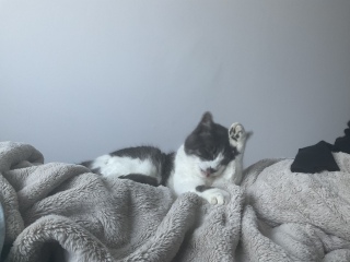 ������ꂿ���