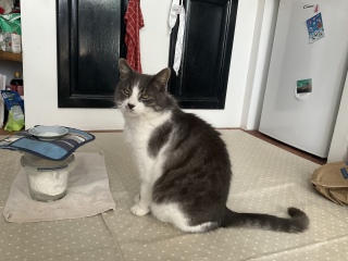 3��4��(��) ��ʒu�܂�������