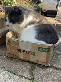 �N�����Ă߂񂲂ł�