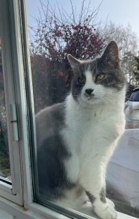 3��5��(��) ���͂悤�L���