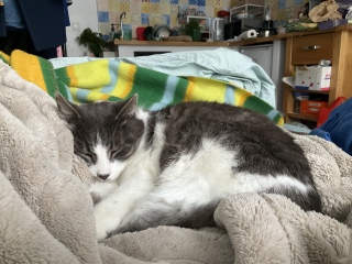 ���˂ނ̂������