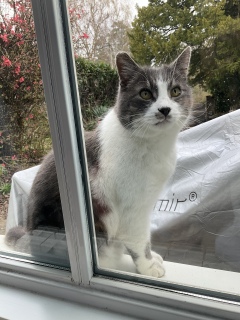 3��6��(��) �������킵������ł�