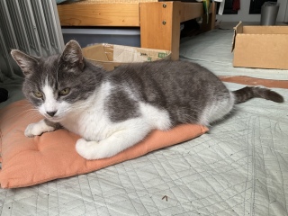 ���났���ɏt�������܂�