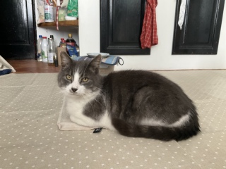 ���C�����ł���