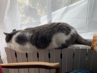 ���������C�ɓ���ł�