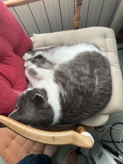 �т��X�^�C�����O�H