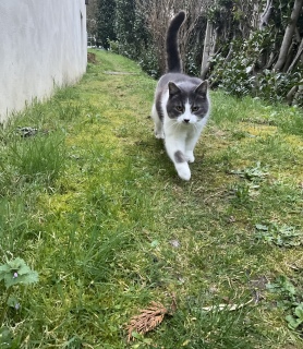 �����ۂ҂�҂�j