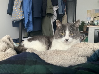 3��8��(��) ���͂悤�L���