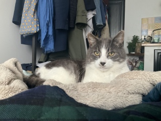 ����̖ѕz�����C�ɓ���