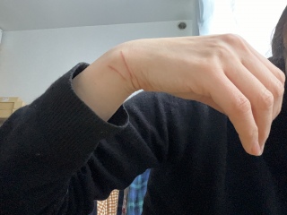 ���ƂƂ����傤�������܂���