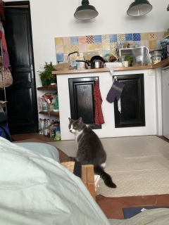 3��9��(��) �����̓T���L���[�̓�