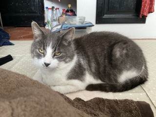 ���X�ƍÑ�