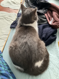 �������т̂Ђ��́H