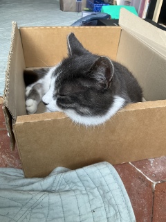 3��10��(��) �ј\�̂͂ݏo�����j