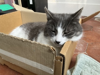 �т��͂ݏo�����j