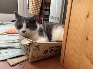 ����ς菬�x�b�h�H