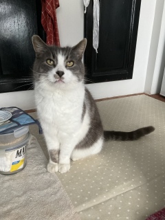 ���K�������S��